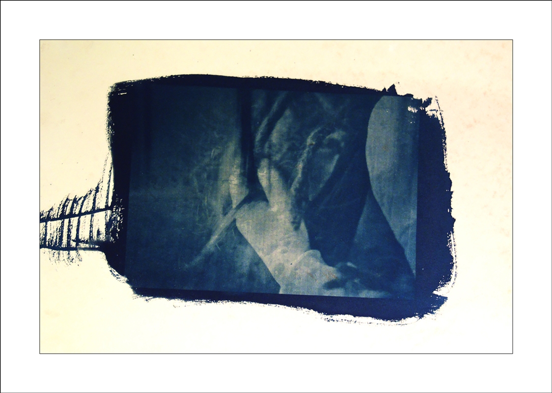http://www.sorengeorg.dk/files/gimgs/th-18_Cyanotype_2_web_v2.jpg