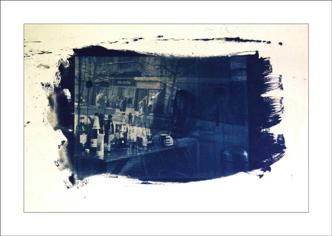 http://www.sorengeorg.dk/files/gimgs/th-18_Cyanotype_4_web_v2.jpg