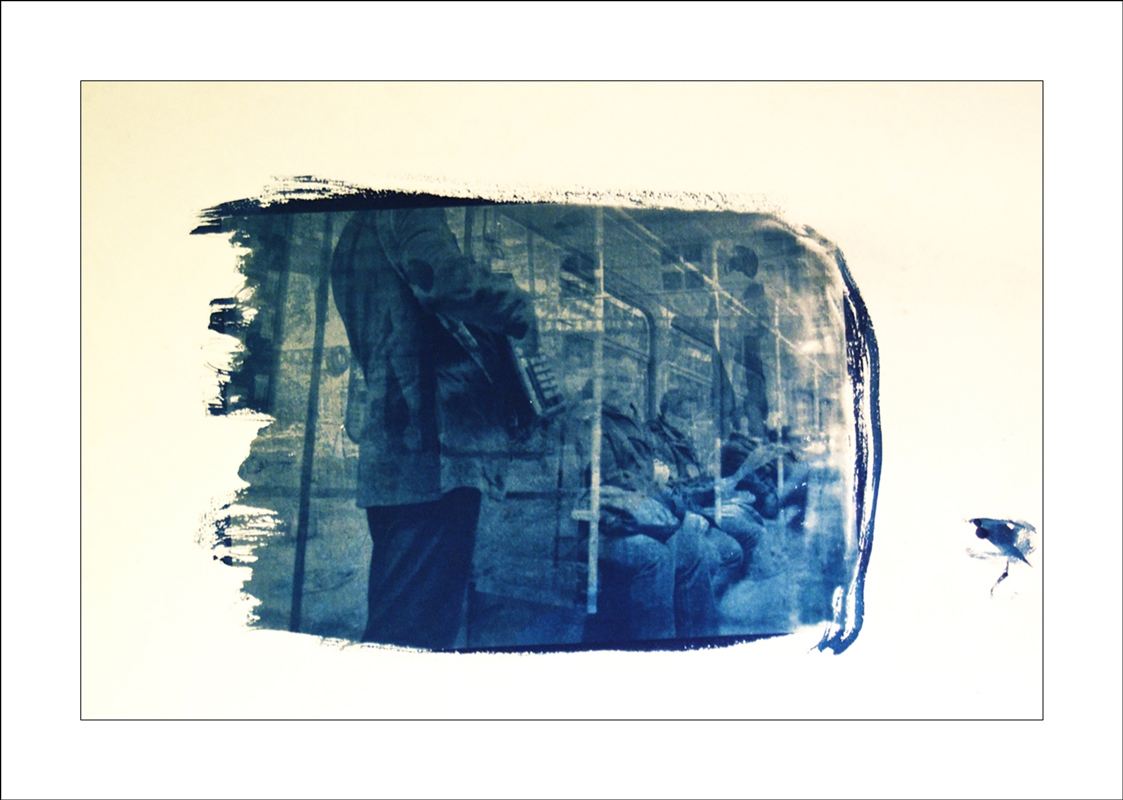 http://www.sorengeorg.dk/files/gimgs/th-18_Cyanotype_5_web_v2.jpg